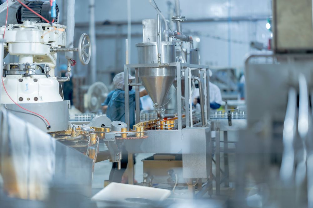 Food manufacturing and processing line