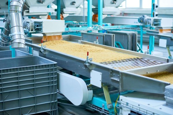 Industrial food processing line